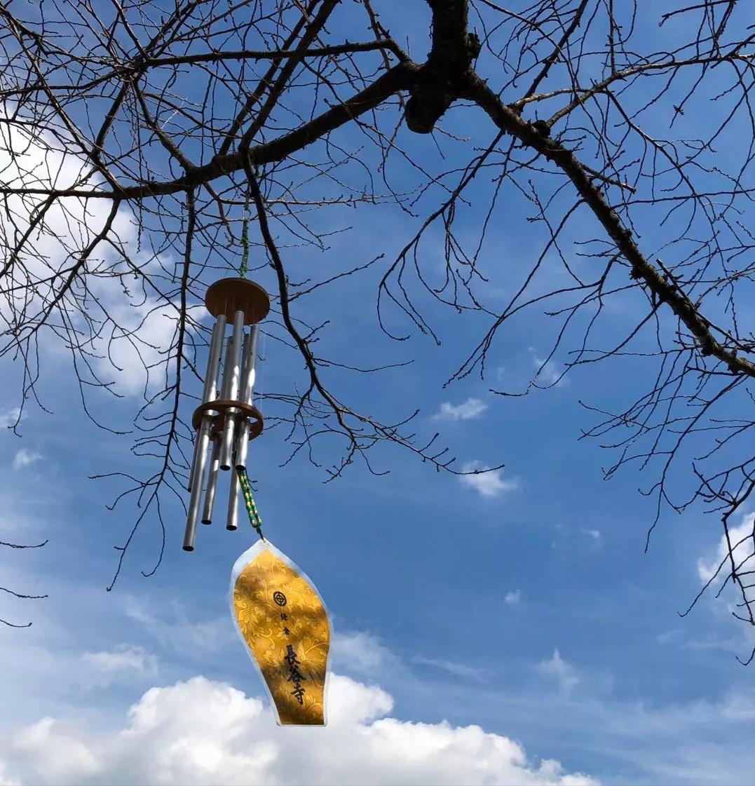 日本一个女生自己去旅游,女生日本独自旅行