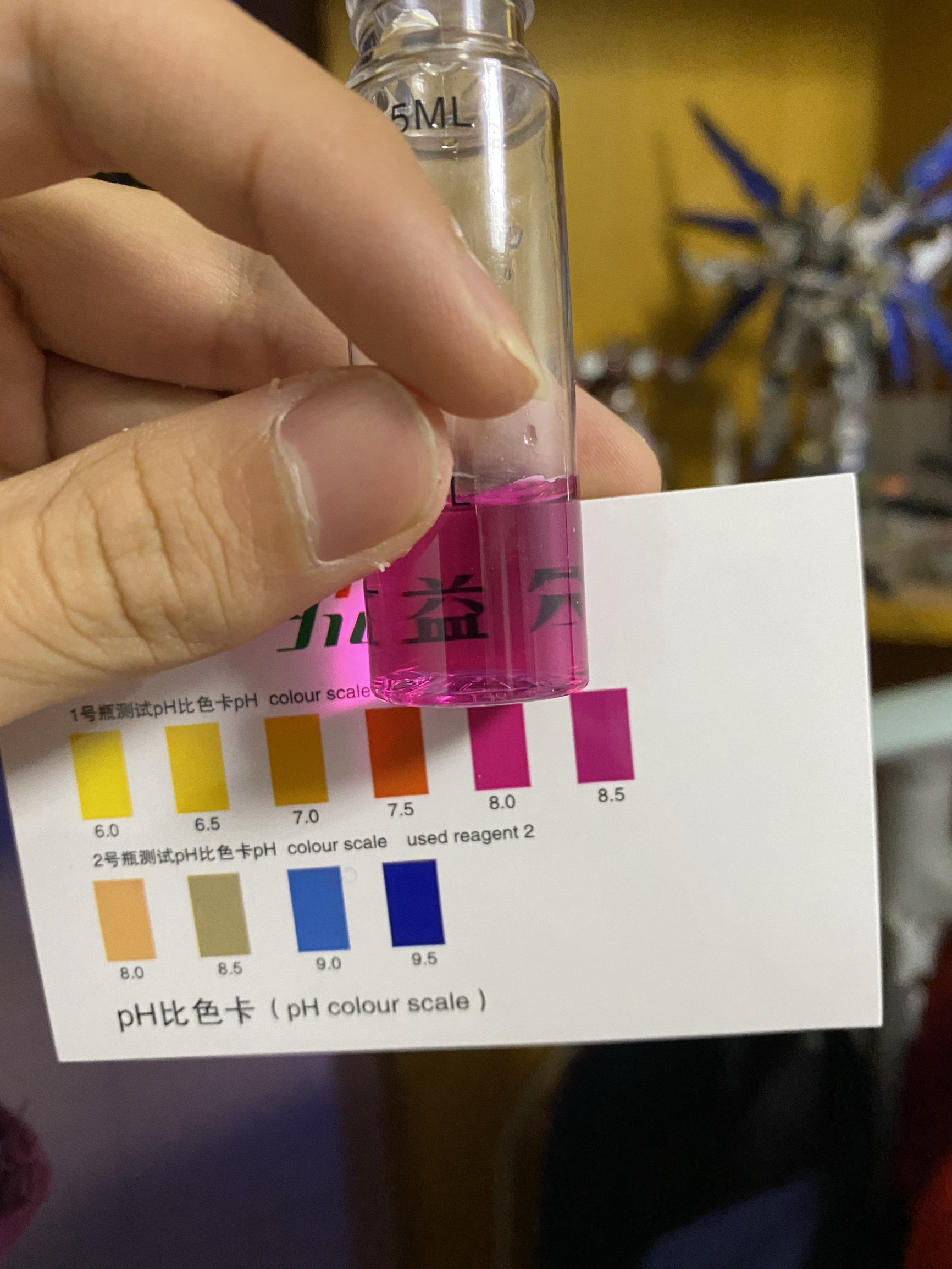 鱼缸硝化系统崩溃是什么原因,新鱼缸最快建立硝化系统时间