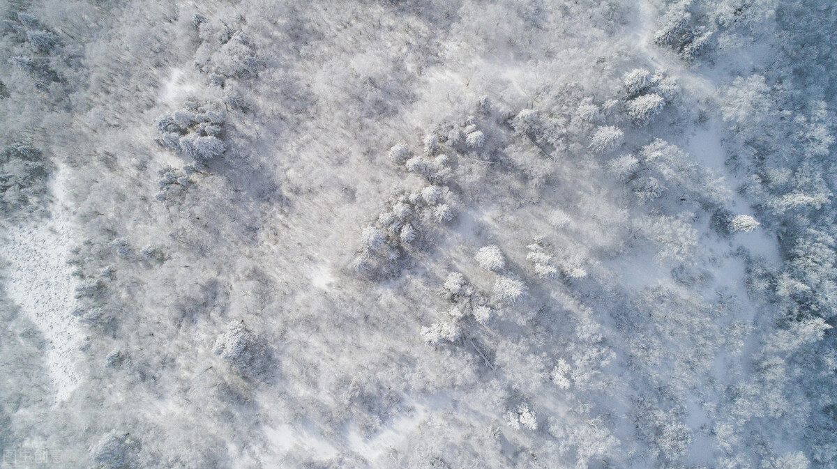 一文看懂—新能源汽车（HEV、PHEV、SHEV、EV）种类详解