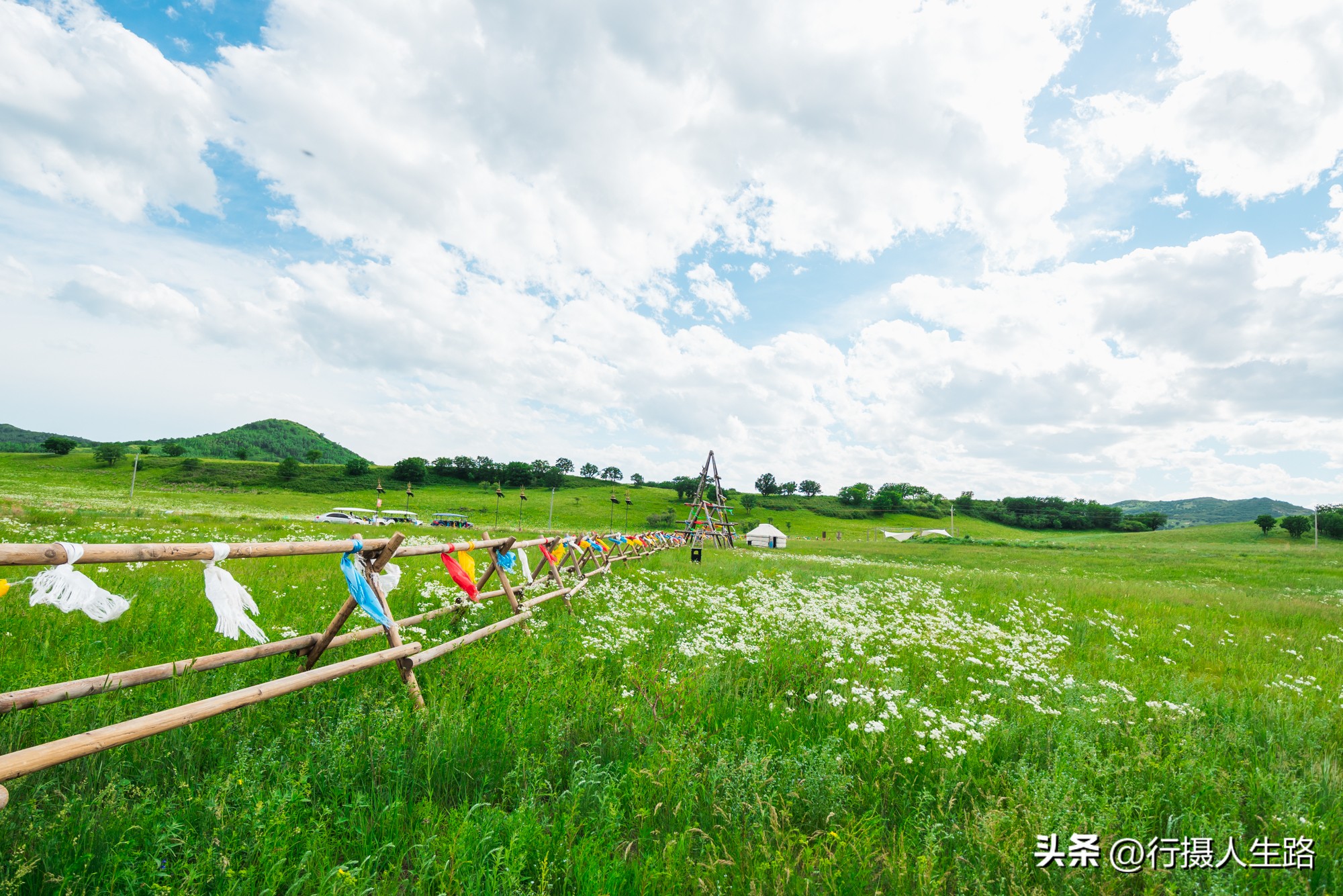 一路向北去黑龙江漠河,一路向北去寻找花海