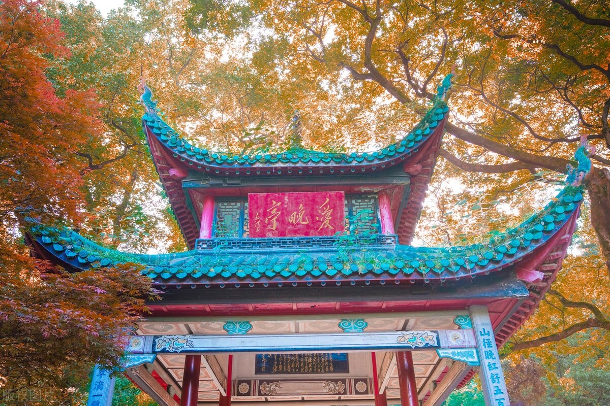 长沙旅游攻略介绍,长沙旅游最新攻略来了