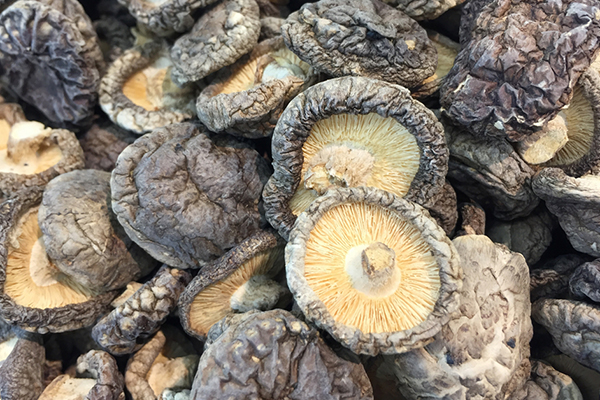 香菇好吃还是花菇好吃,香菇大个好还是小个好呢