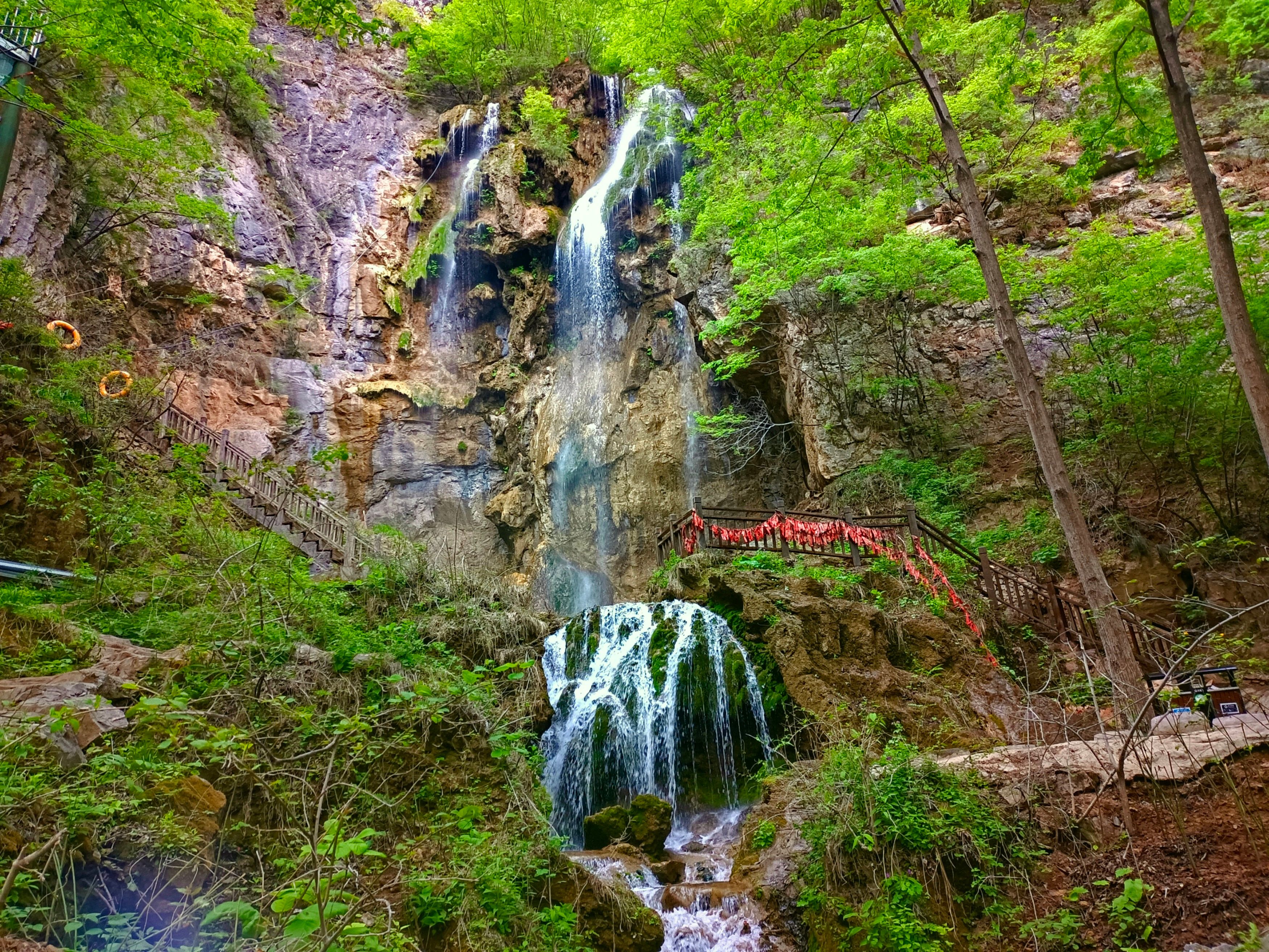 洛阳王府竹海风景图,洛阳王府竹海景区介绍