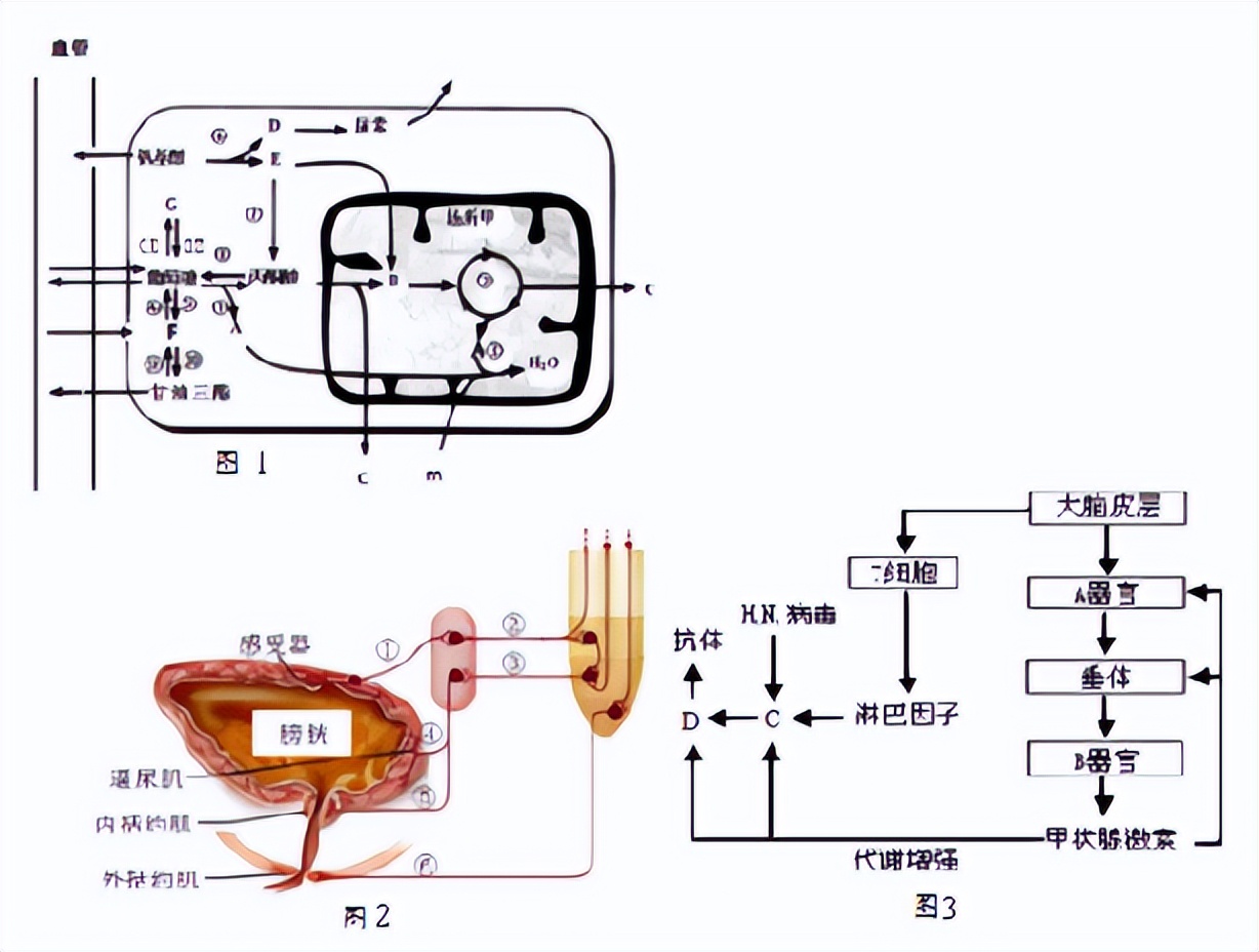 其他植物的类固醇合成难道不需要薯蓣作为参考吗？