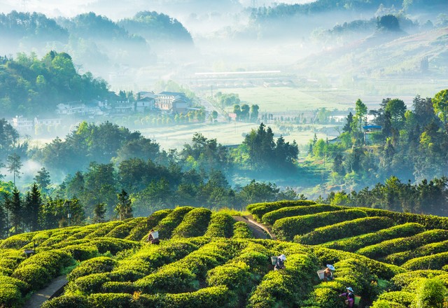 陶渊明田园诗六首,陶渊明的六首田园诗