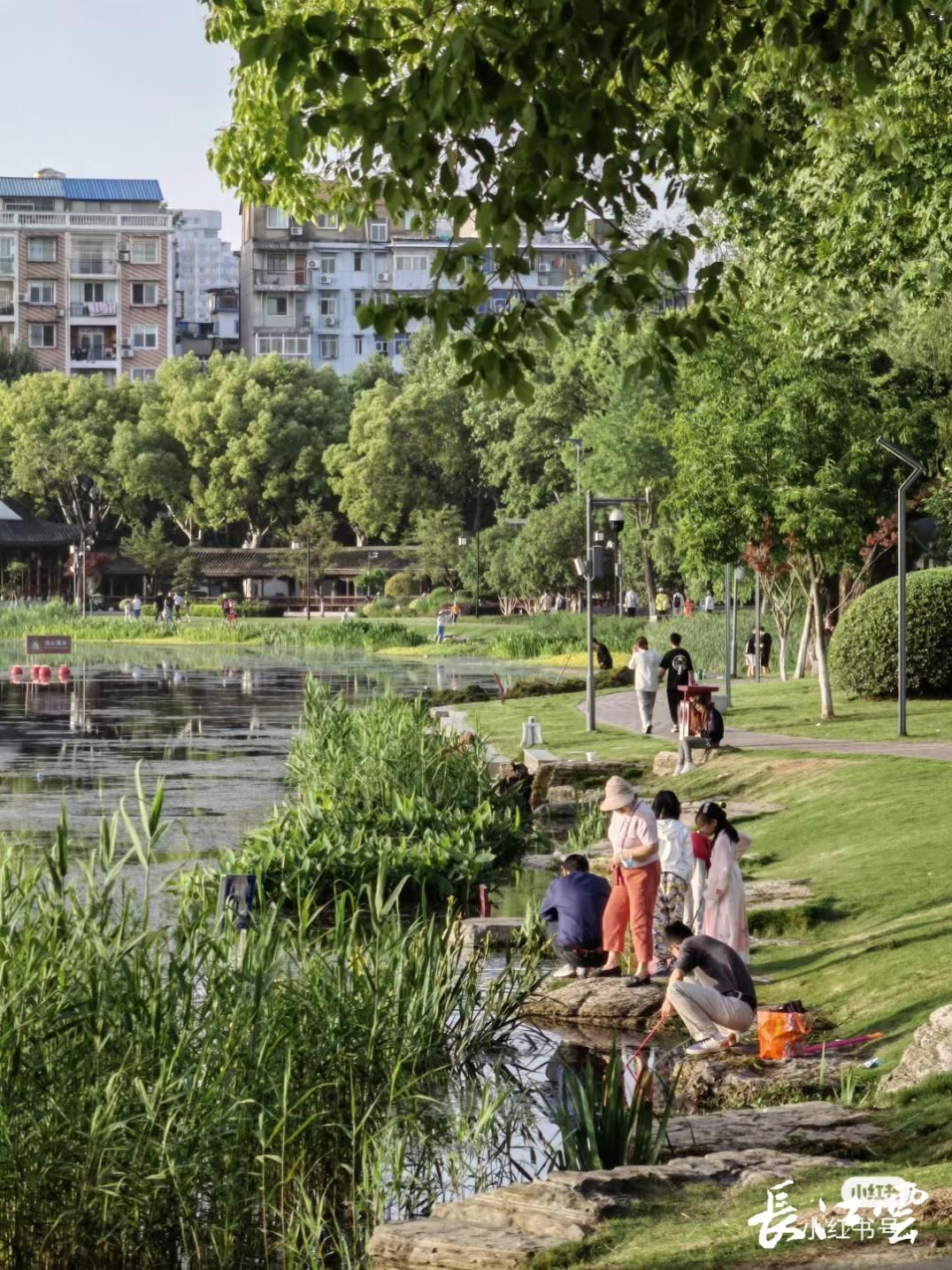 最强评测！我们采访了100位外地游客，“武汉游”能打多少分？