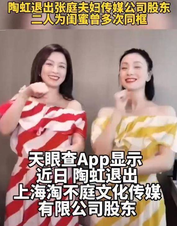 微商张庭现状如何,深度分析张庭微商