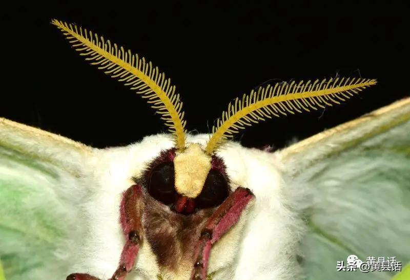 下河抓鱼最好的办法,下河抓鱼是怎么抓的