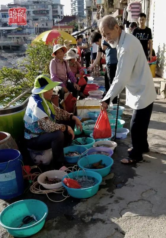 从百年渔港到网红地标!走进厦门最古老的港口,沙坡尾的40年...