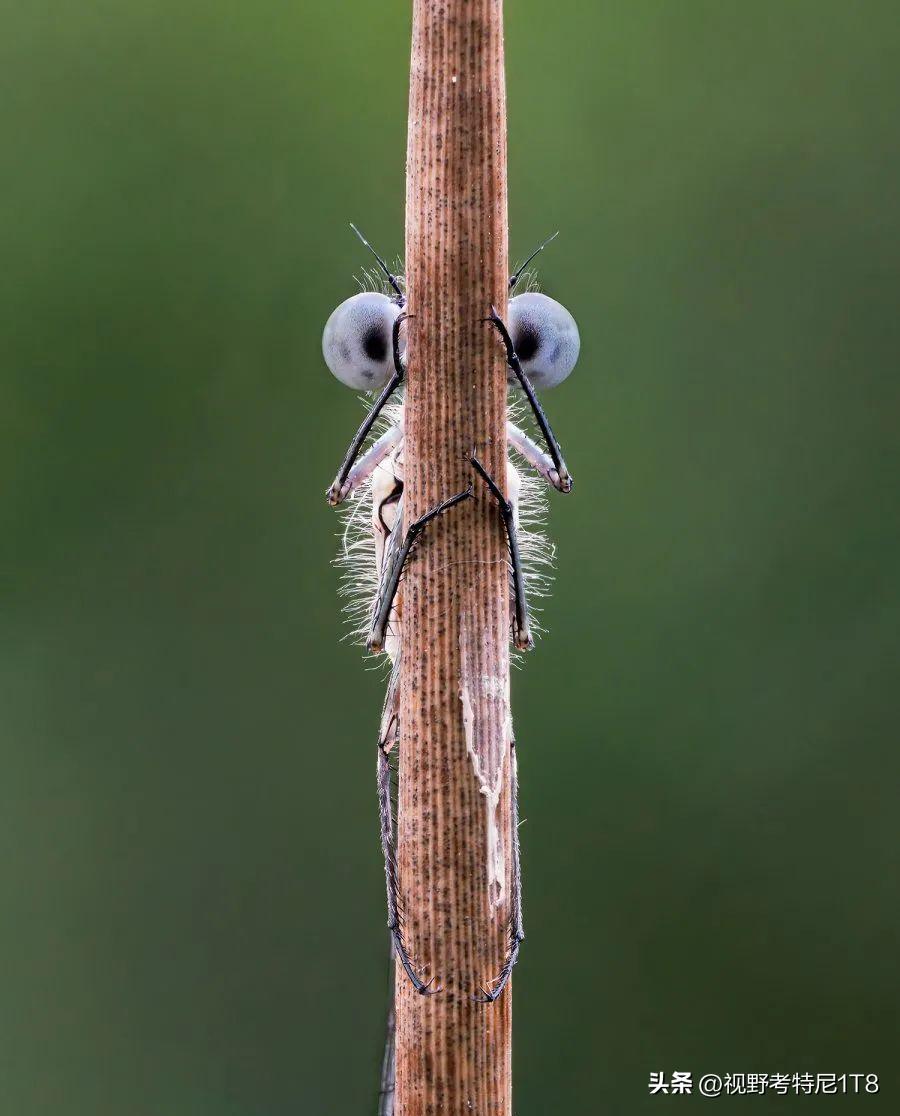 日军最大的暴行,日军侵华到底有多残忍