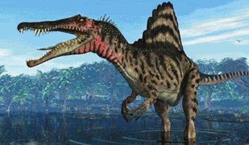 80000万盏霓虹彩灯！浪漫花海、童话世界、打铁花……一起来开启光与影的奇幻之旅吧！