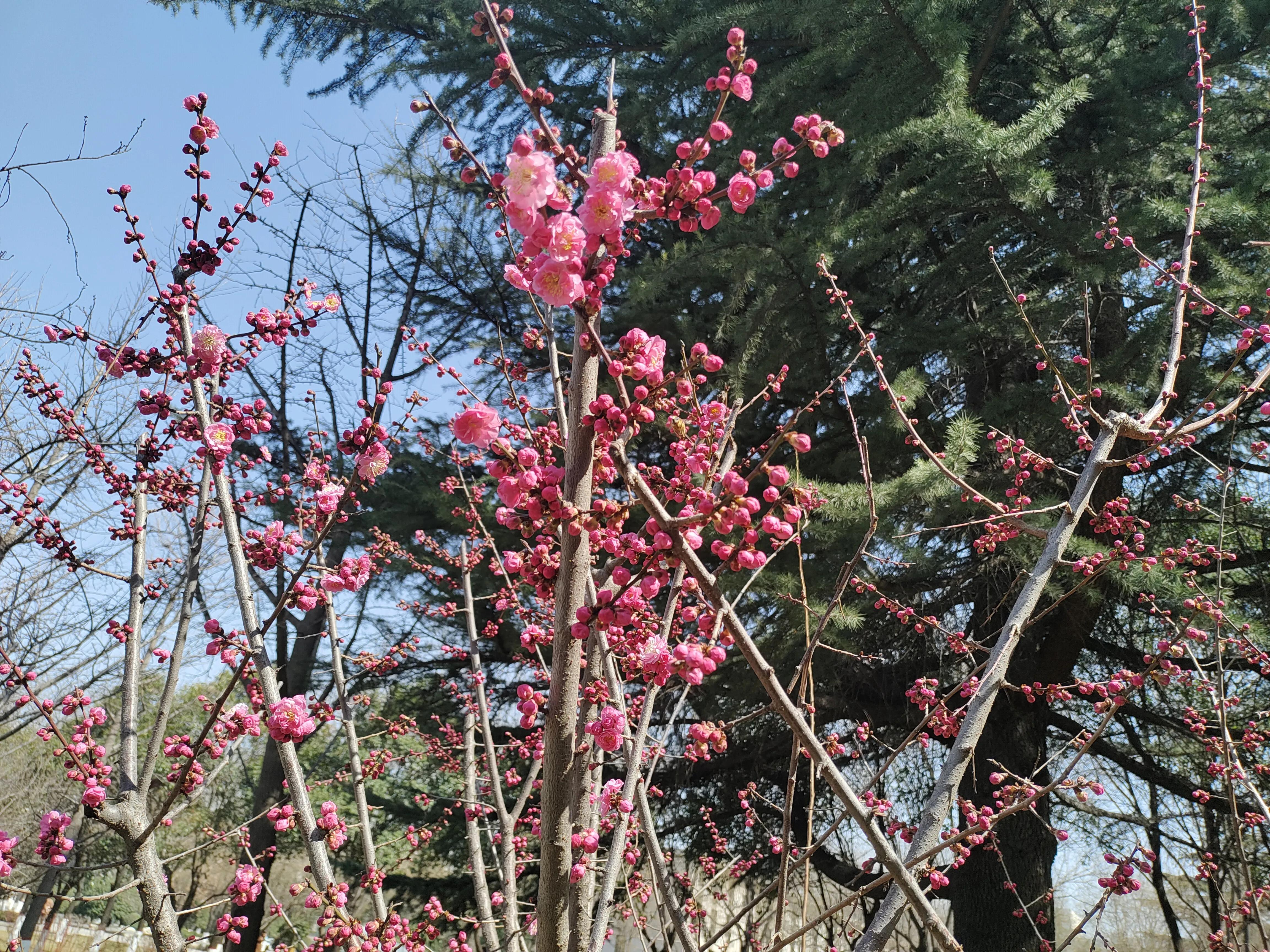 微信退群后以前的聊天记录还在吗,微信退群说明