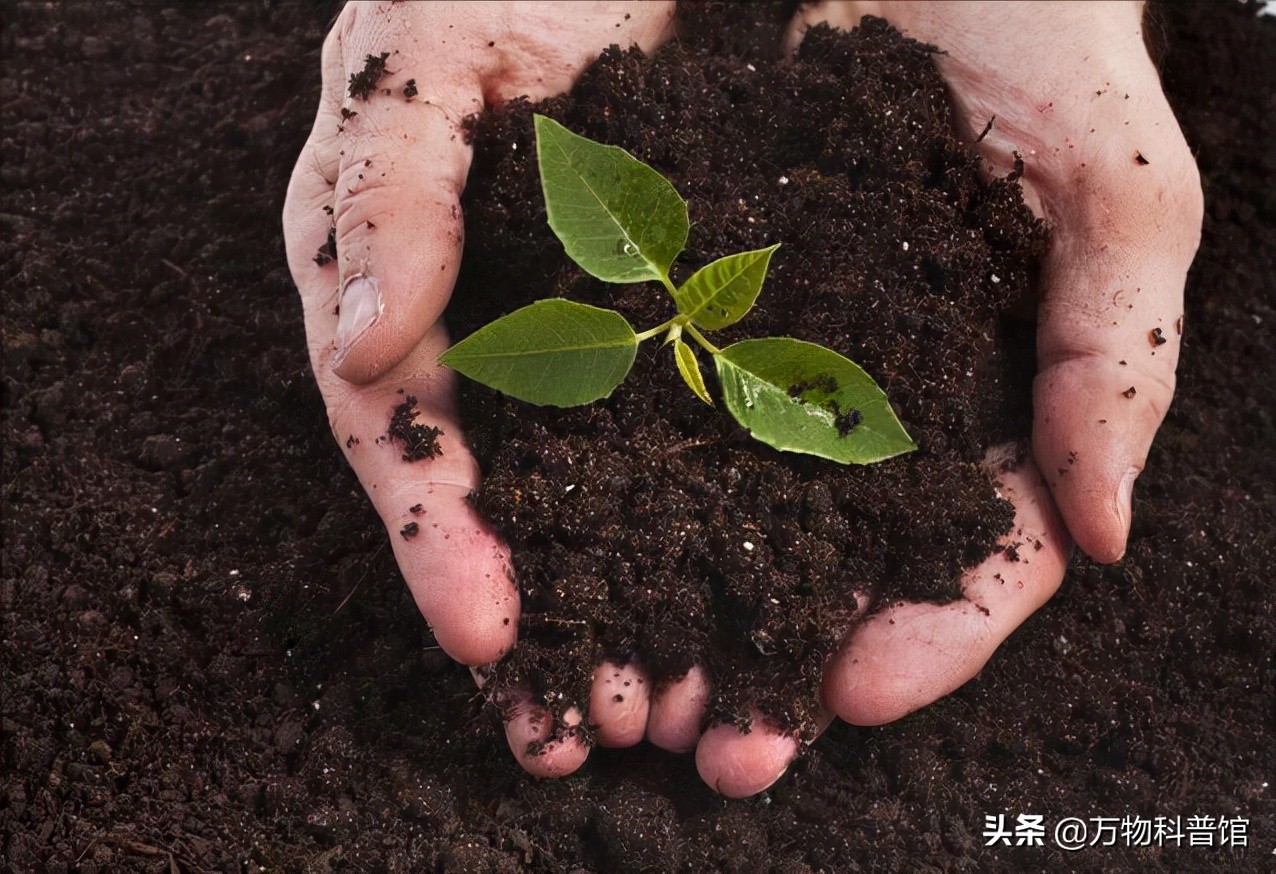 云南省关于禁止使用红砖的通告,红砖被禁止现在建房用什么砖