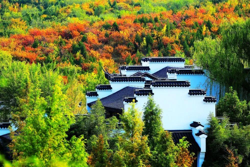 丰台的秋景大片，等您来定格！