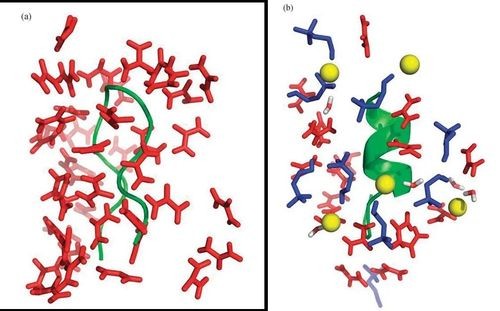 米糠营养价值研究,农业技术益处