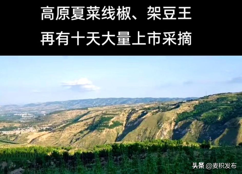 甘肃天水农村电子商务,精准扶贫下的乡村电子商务