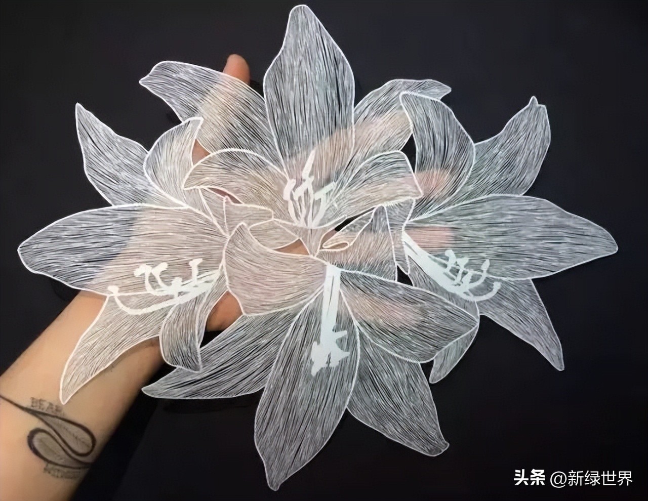 纸艺作品绘画,千变万化的纸艺术作品