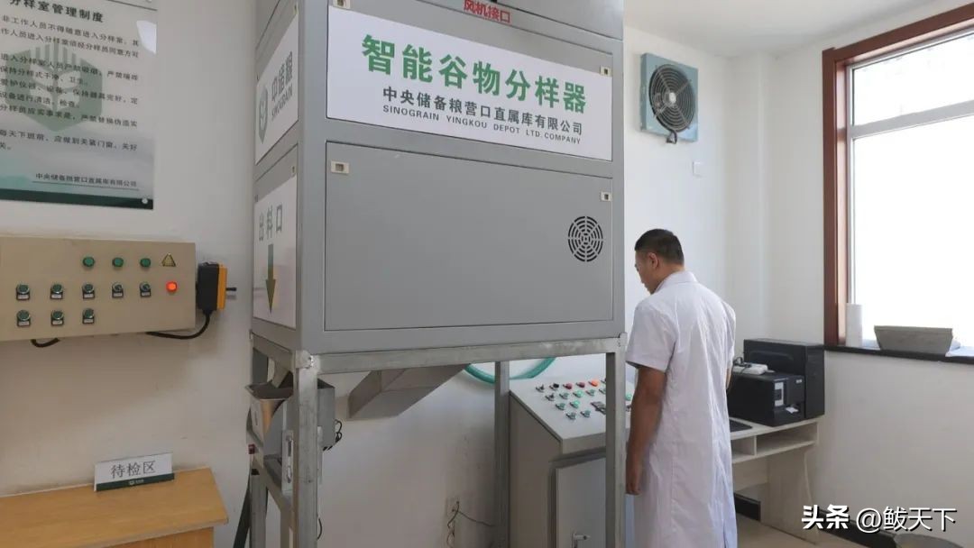 中储粮收不收转基因玉米,中储粮营口直属库