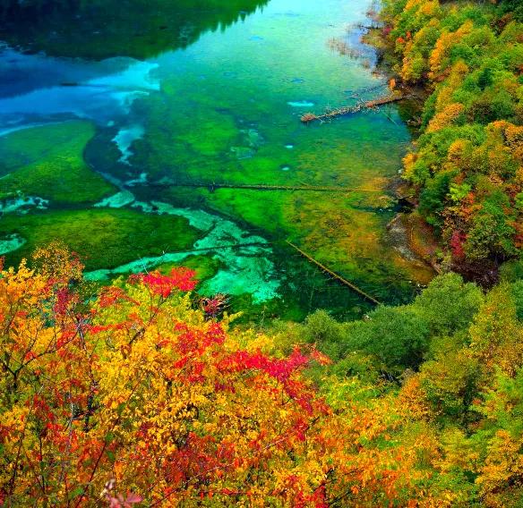 人间仙境九寨沟图片,人间仙境九寨风景图片