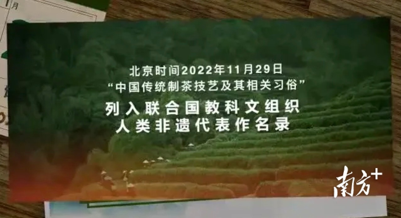 中国茶申遗成功对中国的启示,几大名茶申遗成功