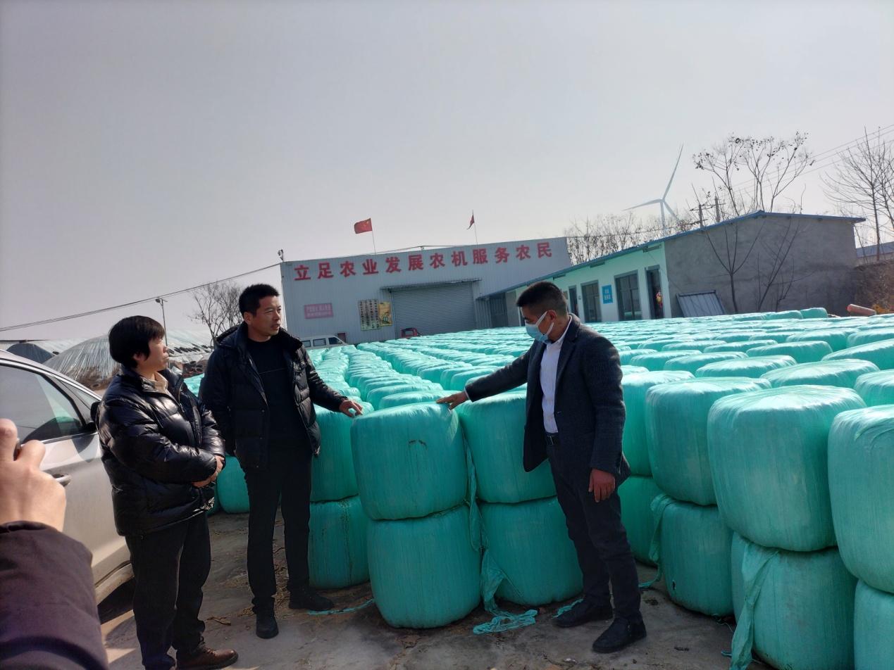 利辛高飞,安徽利辛养殖致富路