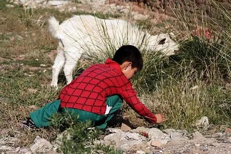 河南农村小伙迎娶日本市长千金,河南打工小伙迎娶日本市长千金