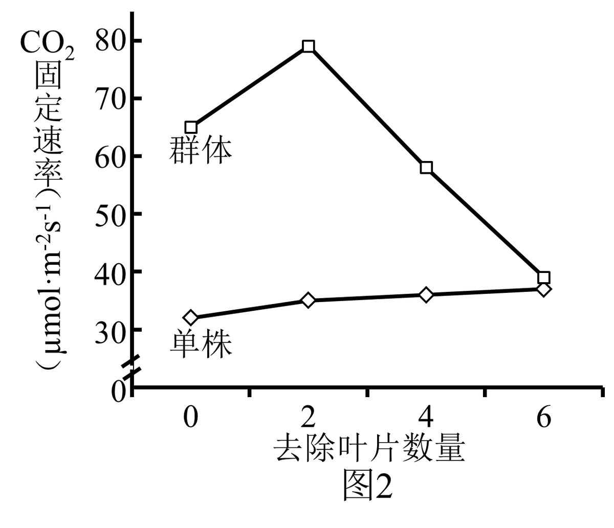 高中生物细胞代谢产生什么物质,高中生物细胞代谢视频