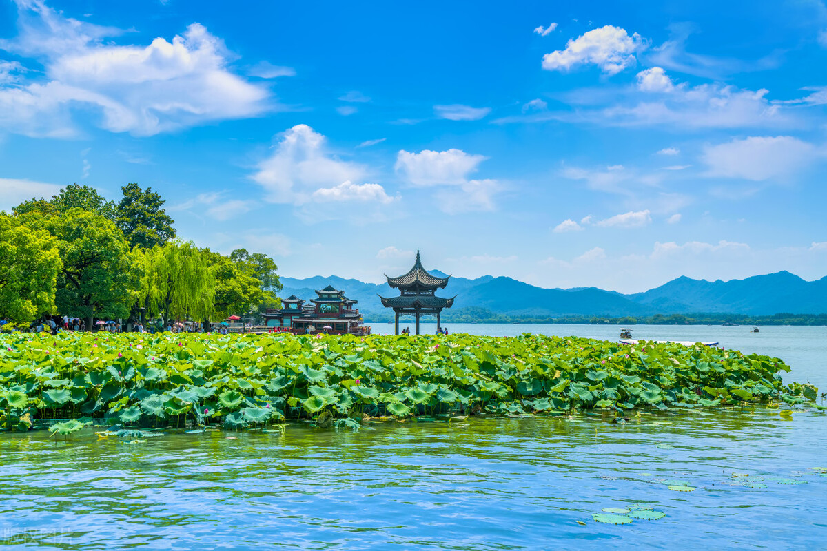 经典k线战法100例,k线战法买卖点主图指标