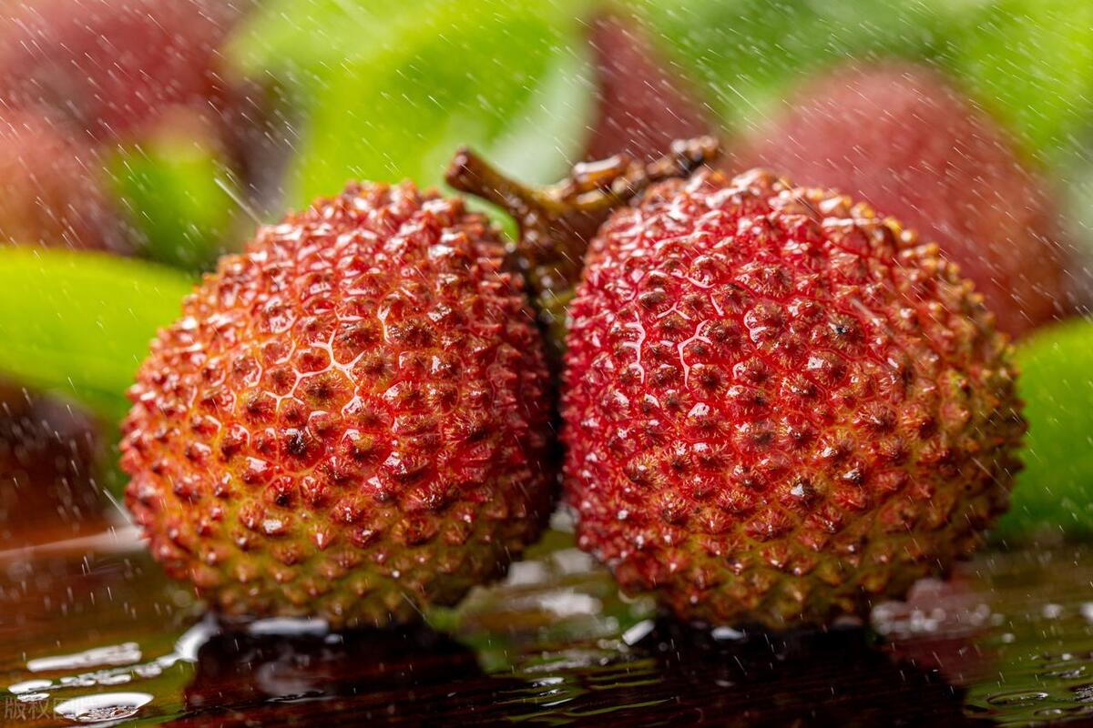 荔枝多少钱一斤妃子笑,今日妃子笑高州荔枝价格