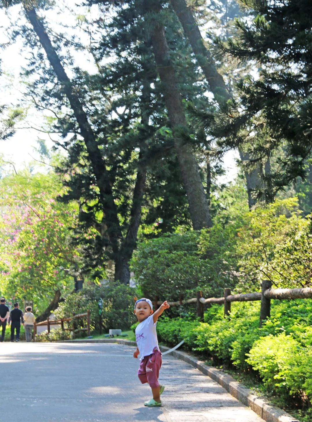 厦门旅游攻略亲子五天四晚冬季游,厦门晚上亲子旅游