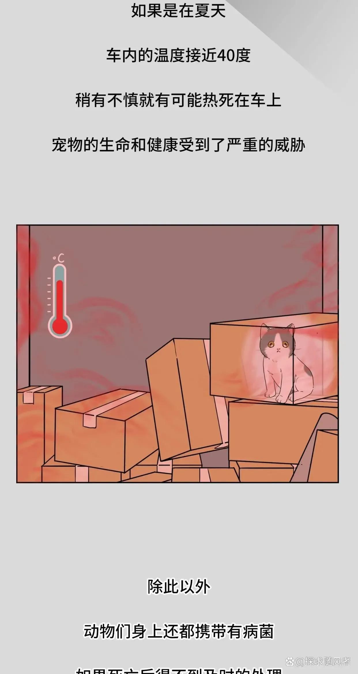 救救我我不想死日语,救救我漫画免费观看