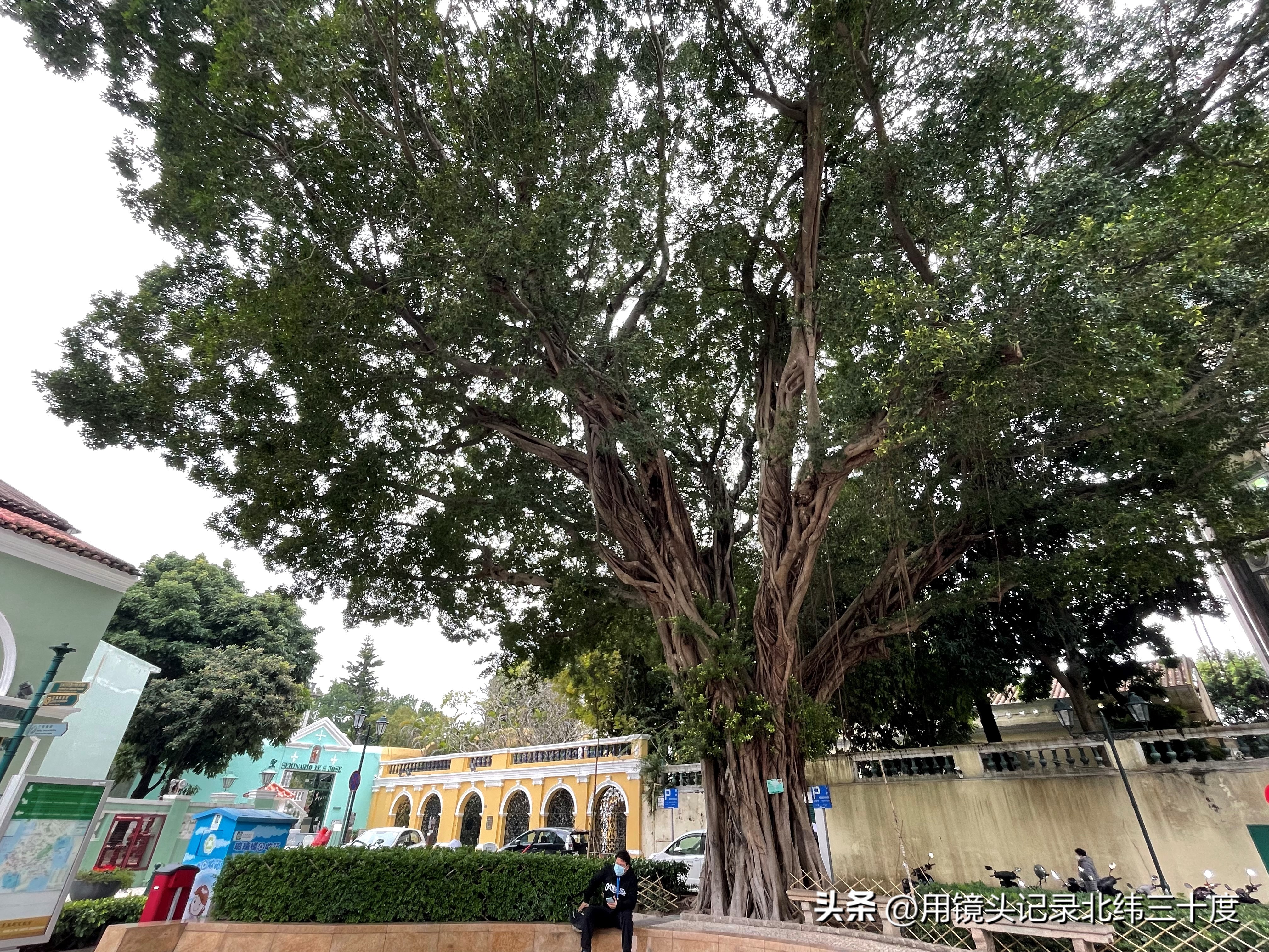 【澳门】一天打卡澳门世遗路线（中）