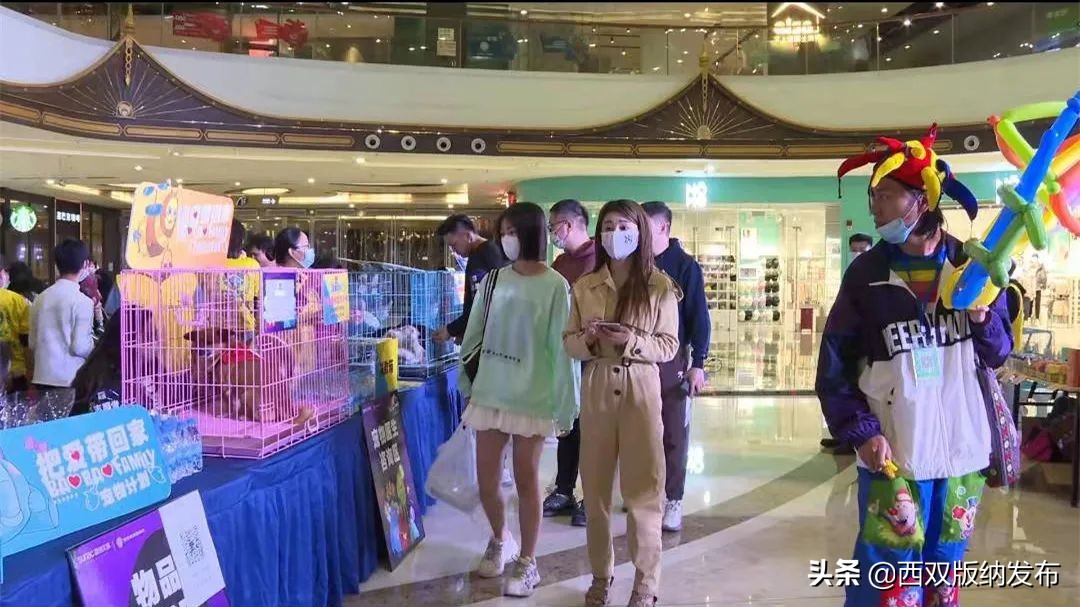 把爱带回家丨让领养代替购买，给它们一个温暖的家