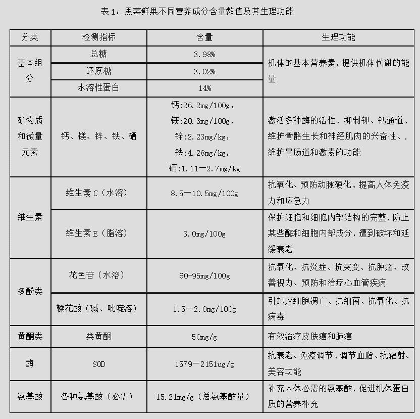 黑莓水果之王,生命之果黑莓