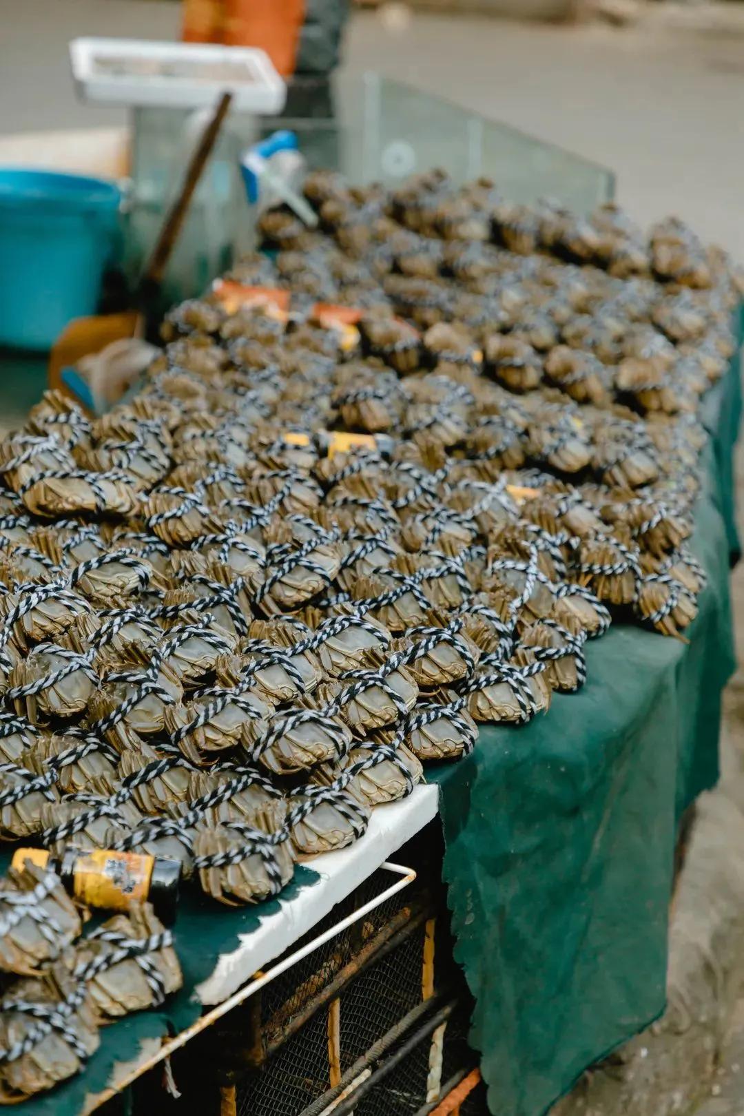 成都伏龙小区伏龙一街,土味城中村