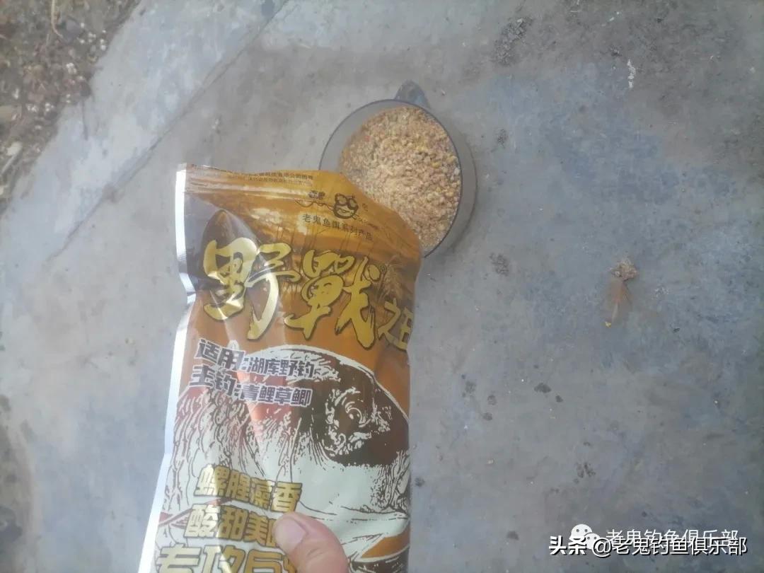 野战之王巨物冬钓鲫鲤如何搭配,野钓之王巨物版能钓鲫鱼吗