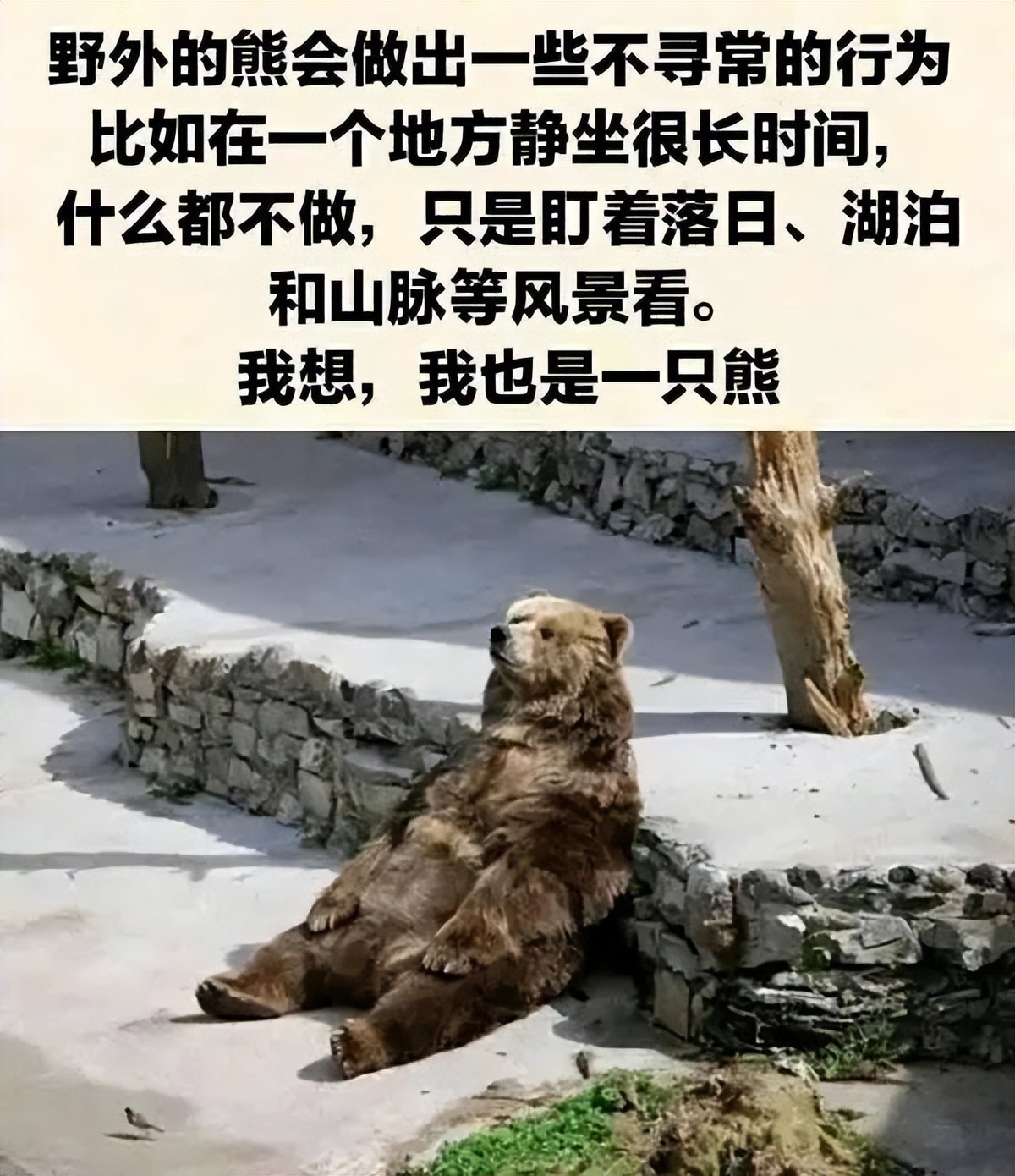 闭不上嘴的搞笑图片,20张搞笑图片大晚上笑得我肚子疼
