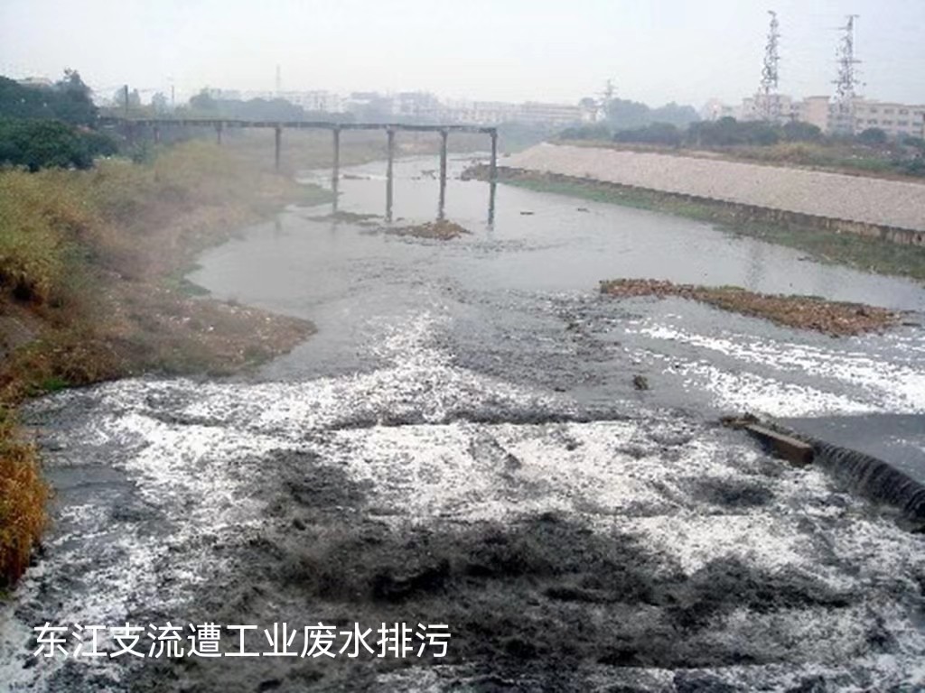 全屋净水品牌城市溯源之东莞：世界工厂之上的海晏河清