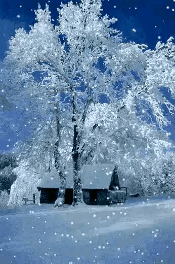 《陇寨诗词》今天刊发了内蒙古诗人邢龙老师的个人专辑