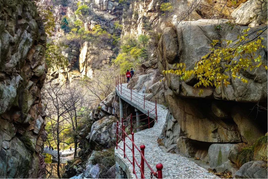 俺莱芜有美景|四季予你诗画香山