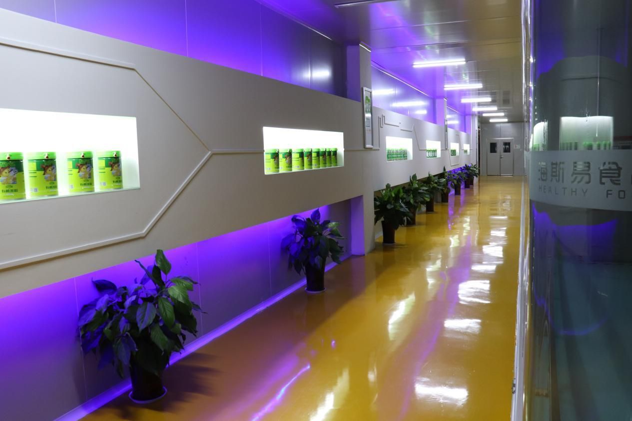 海斯易营养小米米粉,海斯易是特殊膳食吗