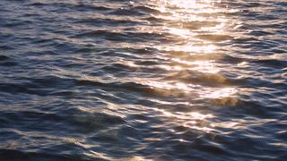 鑻旈潚褰卞儚鎽勫奖浣滃搧,鑻旈潚褰卞儚浜戝彴