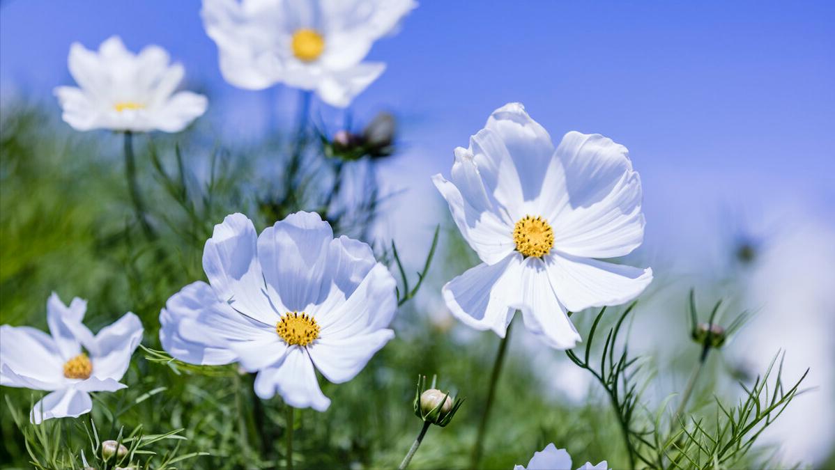 商业大佬的创业故事，你值得学习！（一）