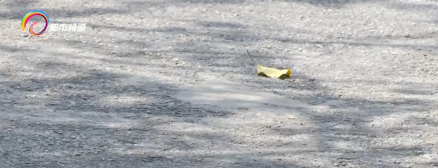 成都电动车轮胎被刀片扎了,电动车被刀片划了一个口还能补吗