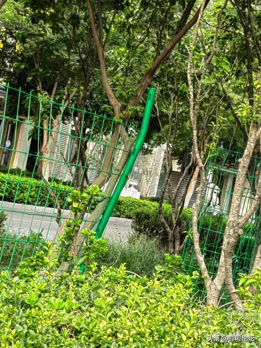 自来水管爆裂蚌埠,蚌埠南岗四路水管爆裂修好了吗