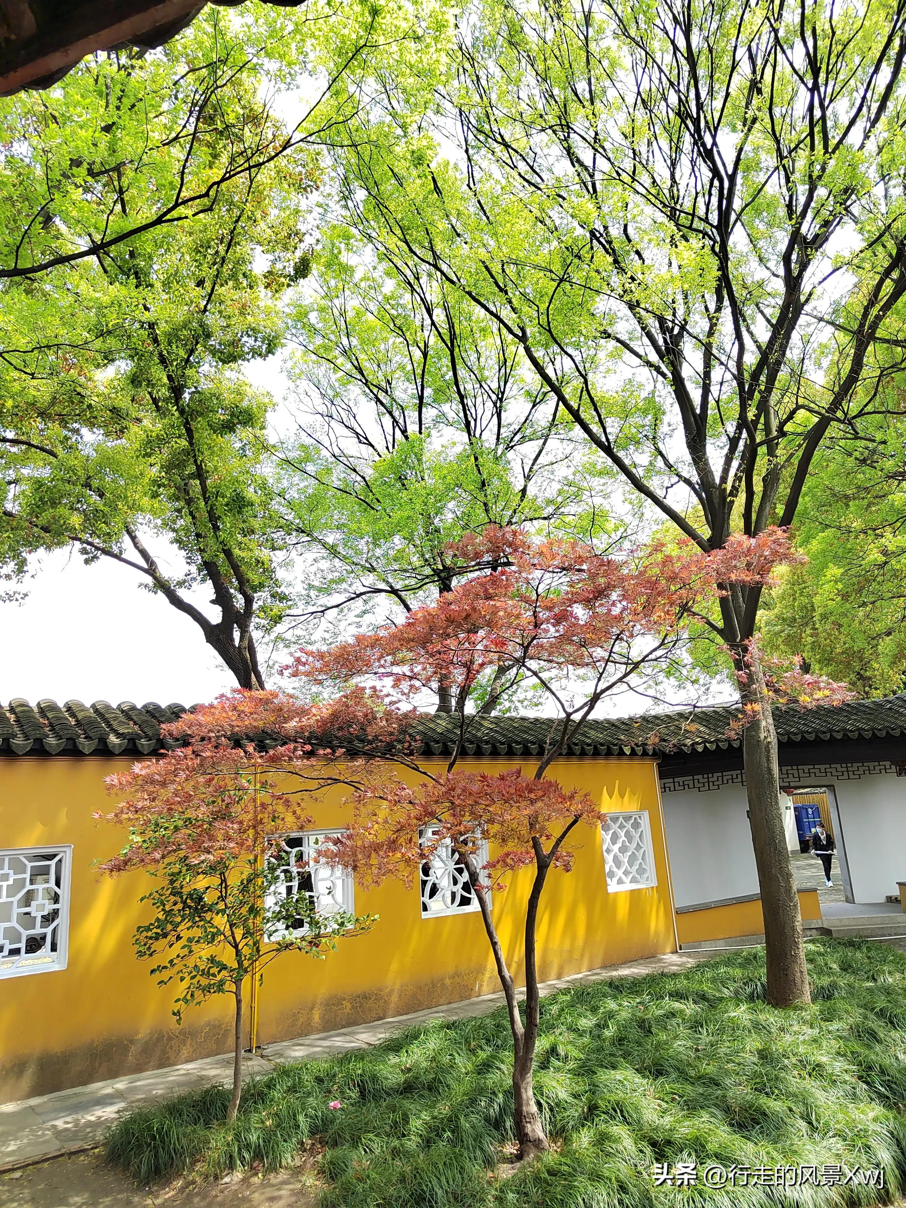 烟花三月下江南猜生肖,苏州江南农耕文化园烟花