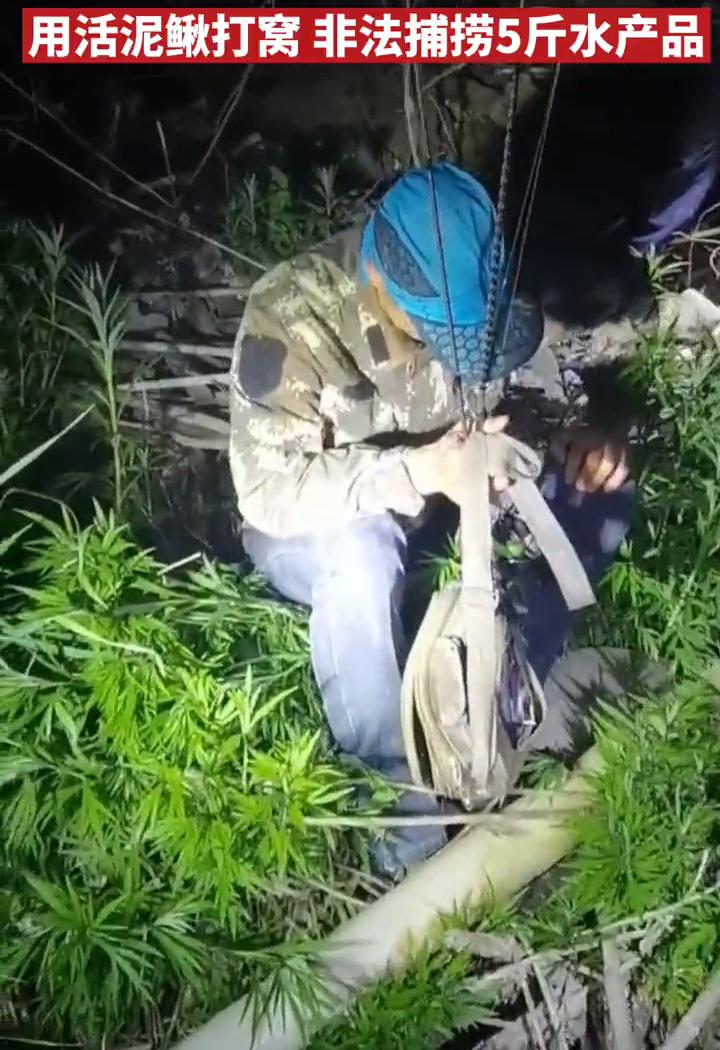 婀栧寳娉ラ硡鎵撶獫琚姄,婀栧寳娉ラ硡琚姄