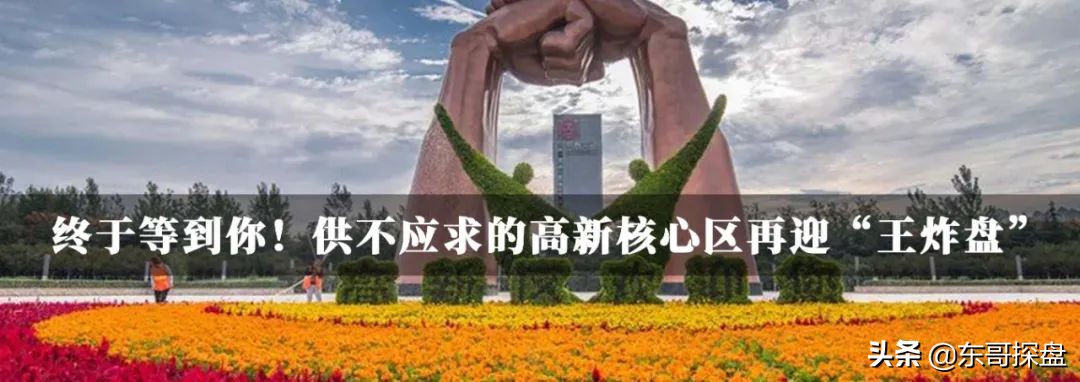 继续无脑买入,还在拼命买房可以吗