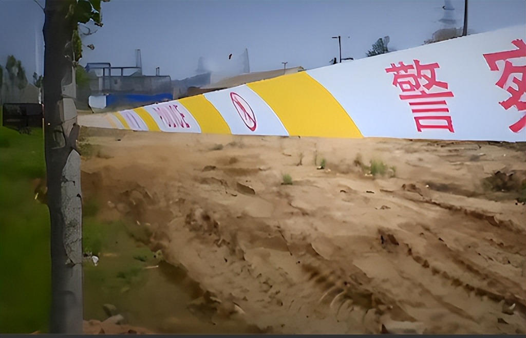 2014年,桃木枝戳穿*体下**?河北女子死状诡异,求爱日记本藏杀机