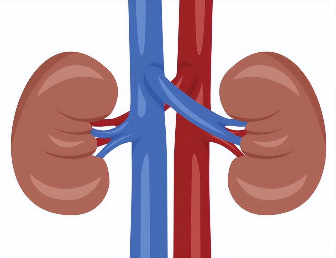 肝肾阴虚须发早白中医怎么治,精血不足须发早白辨治秘方